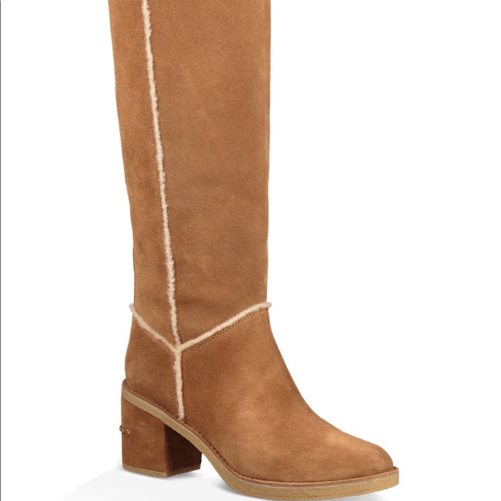 UGG Kasen Tall Boot